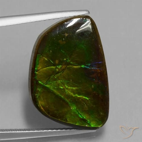14.74ct Naturale Multicolore Ammolite, Taglio a fantasia, Opaco