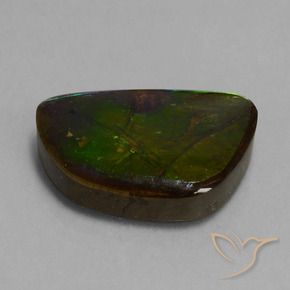 Ammolite Multicolore naturale da 14.74 ct, Taglio a fantasia, Opaco
