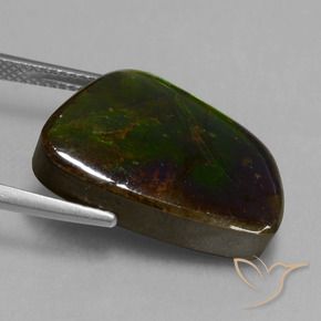 Ammolite Multicolore naturale da 14.74 ct, Taglio a fantasia, Opaco
