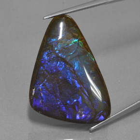 Ammolite Multicolore naturale da 22.64 ct, Forma fantasia, Opaco