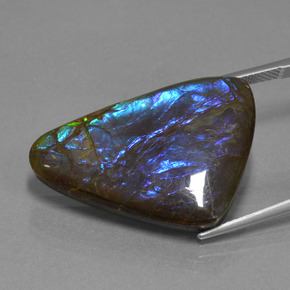 Ammolite Multicolore naturale da 22.64 ct, Forma fantasia, Opaco