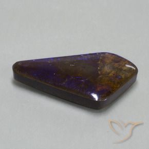 Ammolite Multicolore naturale da 19.82 ct, Taglio a fantasia, Opaco