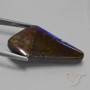 Ammolite Multicolore naturale da 19.82 ct, Taglio a fantasia, Opaco