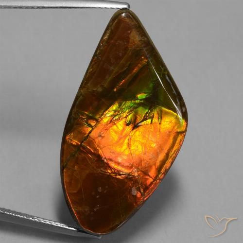 21.71ct Naturale Multicolore Ammolite, Taglio a fantasia, Opaco