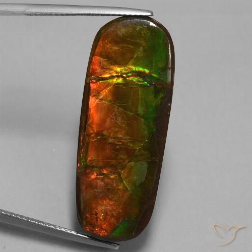 24.02ct Naturale Multicolore Ammolite, Taglio a fantasia, Opaco
