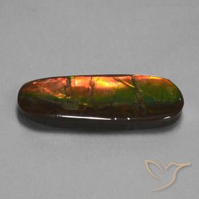 Ammolite Multicolore naturale da 24.02 ct, Taglio a fantasia, Opaco