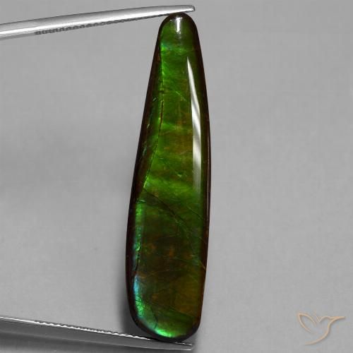 19.66ct Naturale Multicolore Ammolite, Taglio a fantasia, Opaco