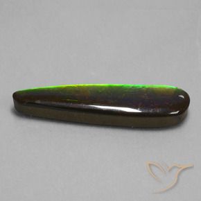 Ammolite Multicolore naturale da 19.66 ct, Taglio a fantasia, Opaco