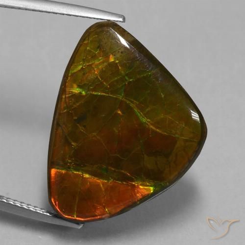 15.18ct Naturale Multicolore Ammolite, Taglio a fantasia, Opaco