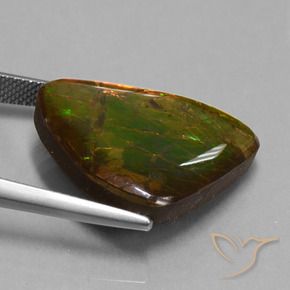 Ammolite Multicolore naturale da 15.18 ct, Taglio a fantasia, Opaco
