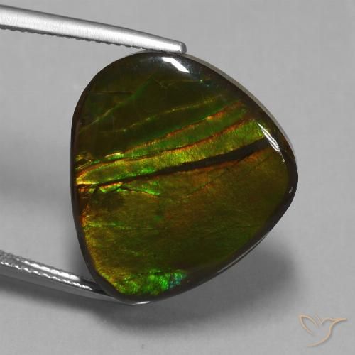 16.74ct Naturale Multicolore Ammolite, Taglio a fantasia, Opaco