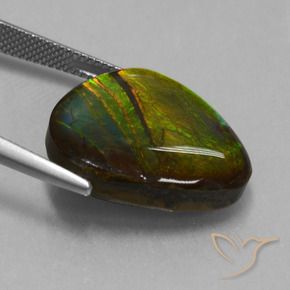 Ammolite Multicolore naturale da 16.74 ct, Taglio a fantasia, Opaco