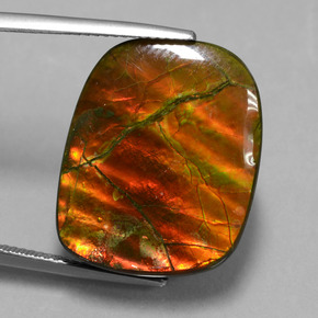 Ammolite Multicolore naturale da 20.27 ct, Forma fantasia, Opaco