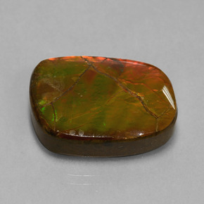 Ammolite Multicolore naturale da 20.27 ct, Forma fantasia, Opaco