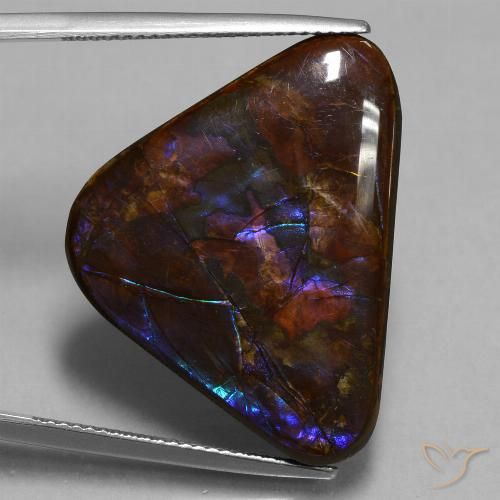 23.63ct Naturale Multicolore Ammolite, Taglio trillion, Opaco