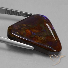 Ammolite Multicolore naturale da 23.63 ct, Taglio trillion, Opaco