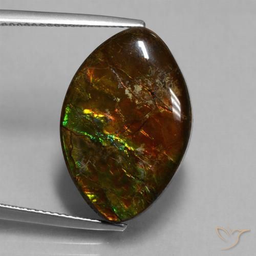 13.51ct Naturale Multicolore Ammolite, Taglio marquise, Opaco