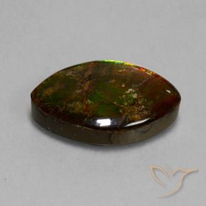 Ammolite Multicolore naturale da 13.51 ct, Taglio marquise, Opaco
