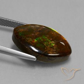 Ammolite Multicolore naturale da 13.51 ct, Taglio marquise, Opaco
