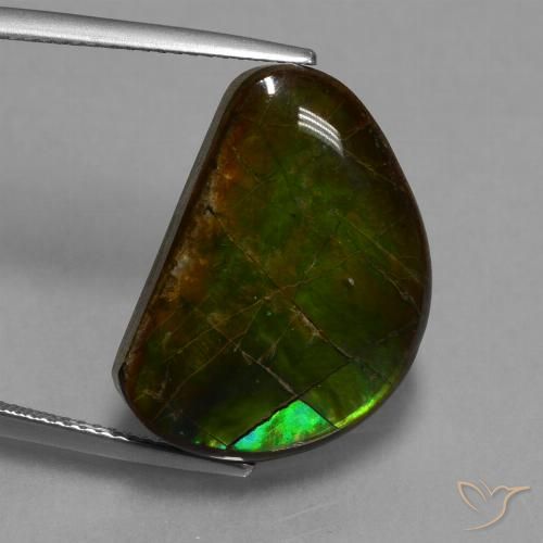 15.89ct Naturale Multicolore Ammolite, Taglio a fantasia, Opaco