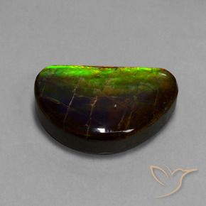 Ammolite Multicolore naturale da 15.89 ct, Taglio a fantasia, Opaco