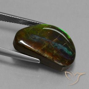 Ammolite Multicolore naturale da 15.89 ct, Taglio a fantasia, Opaco