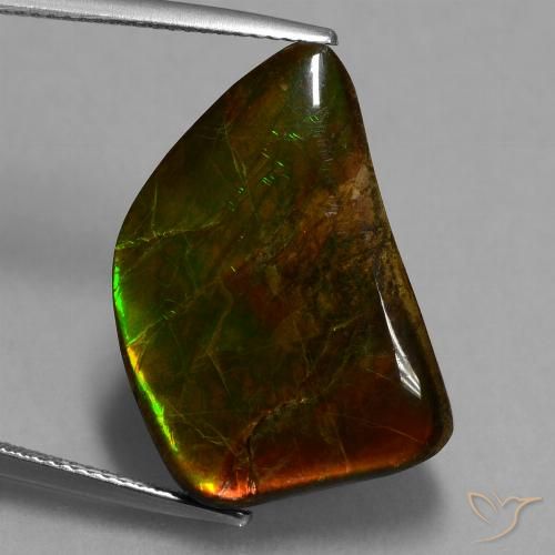 15.62ct Naturale Multicolore Ammolite, Taglio a fantasia, Opaco
