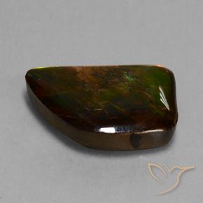 Ammolite Multicolore naturale da 15.62 ct, Taglio a fantasia, Opaco