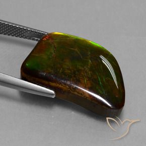 Ammolite Multicolore naturale da 15.62 ct, Taglio a fantasia, Opaco