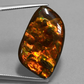 Ammolite Multicolore naturale da 20.42 ct, Forma fantasia, Opaco