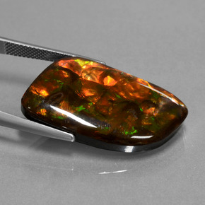 Ammolite Multicolore naturale da 20.42 ct, Forma fantasia, Opaco