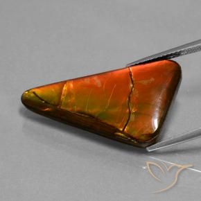 Ammolite Multicolore naturale da 17.93 ct, Taglio trillion, Opaco