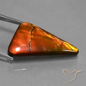 Ammolite Multicolore naturale da 17.93 ct, Taglio trillion, Opaco