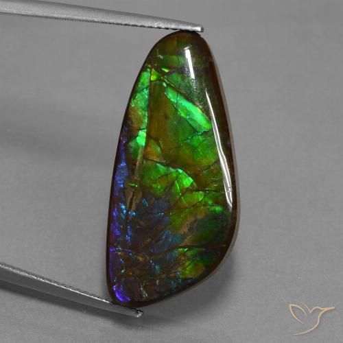 16.76ct Naturale Multicolore Ammolite, Taglio a fantasia, Opaco