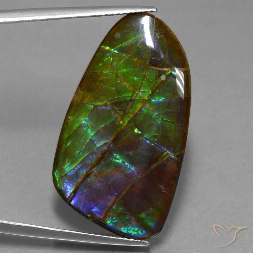 23.16ct Naturale Multicolore Ammolite, Taglio a fantasia, Opaco
