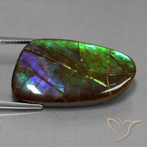 Ammolite Multicolore naturale da 23.16 ct, Taglio a fantasia, Opaco