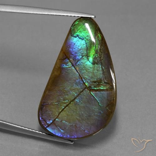 20.44ct Naturale Multicolore Ammolite, Taglio a fantasia, Opaco