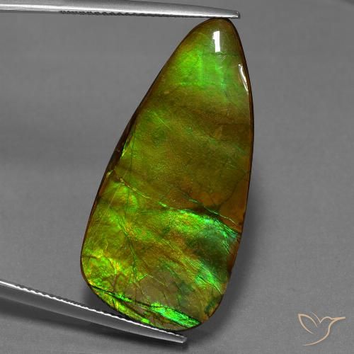 24.28ct Naturale Multicolore Ammolite, Taglio a fantasia, Opaco