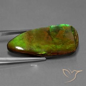 Ammolite Multicolore naturale da 24.28 ct, Taglio a fantasia, Opaco