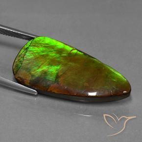 Ammolite Multicolore naturale da 24.28 ct, Taglio a fantasia, Opaco