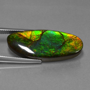 Ammolite naturale multicolore da 17,75 ct, forma fantasia, opaco