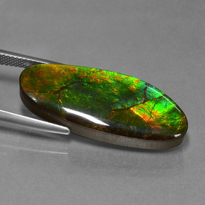Ammolite naturale multicolore da 17,75 ct, forma fantasia, opaco