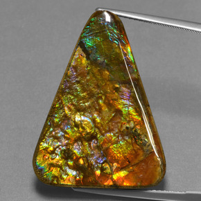 Ammolite Multicolore naturale da 23,76 ct, Taglio trillion, Opaco