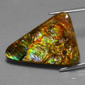 Ammolite Multicolore naturale da 23,76 ct, Taglio trillion, Opaco