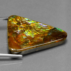 Ammolite Multicolore naturale da 23,76 ct, Taglio trillion, Opaco
