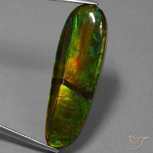 23.33ct Naturale Multicolore Ammolite, Taglio a fantasia, Opaco