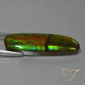 Ammolite Multicolore naturale da 23.33 ct, Taglio a fantasia, Opaco