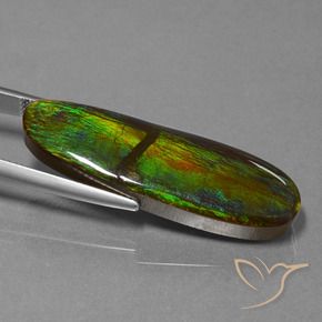 Ammolite Multicolore naturale da 23.33 ct, Taglio a fantasia, Opaco