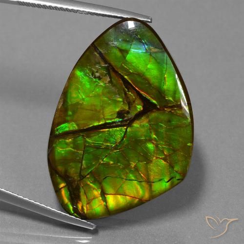 24.51ct Naturale Multicolore Ammolite, Taglio a fantasia, Opaco