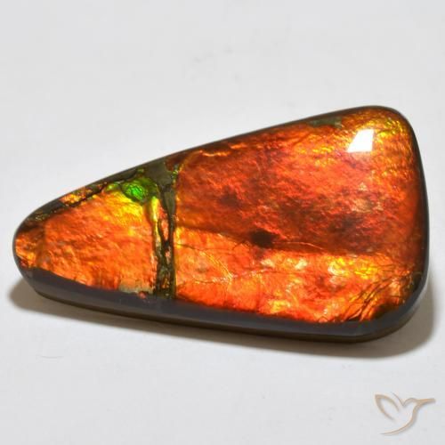 Ammolite Multicolore naturale da 23.02 ct, Taglio a fantasia, Opaco